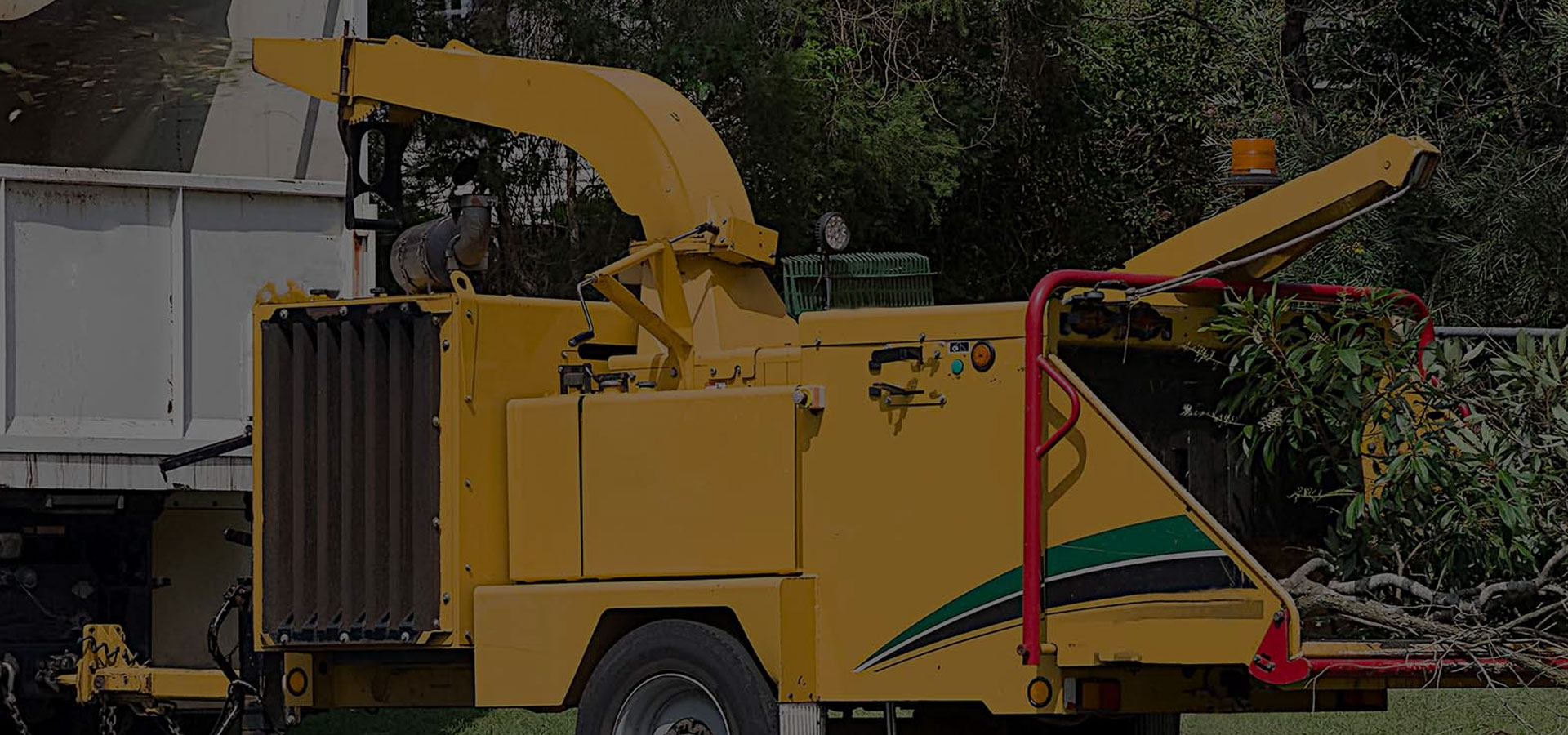 tree chipping service hobart